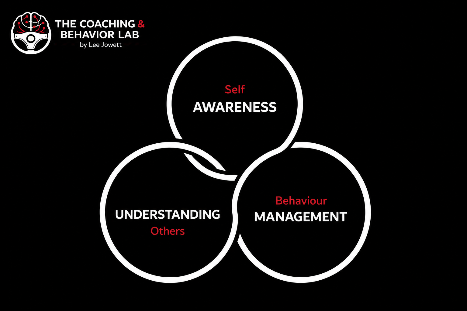The Three Lens Model — three overlapping circles representing Self Awareness, Understanding Others, and Behaviour Management